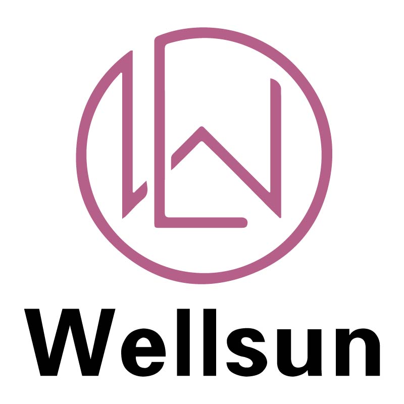  Wellsun Lighting Co., Ltd.